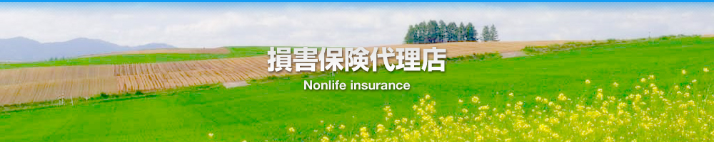 ���Q�ی��㗝�X