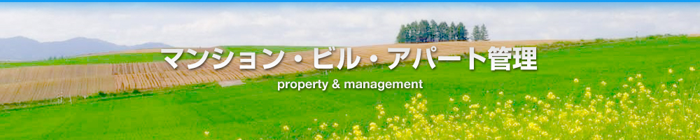 �r���E�A�p�[�g�Ǘ�